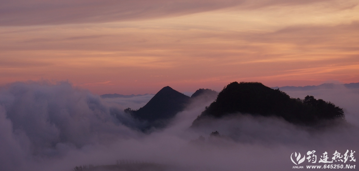 DSC05585_.jpg