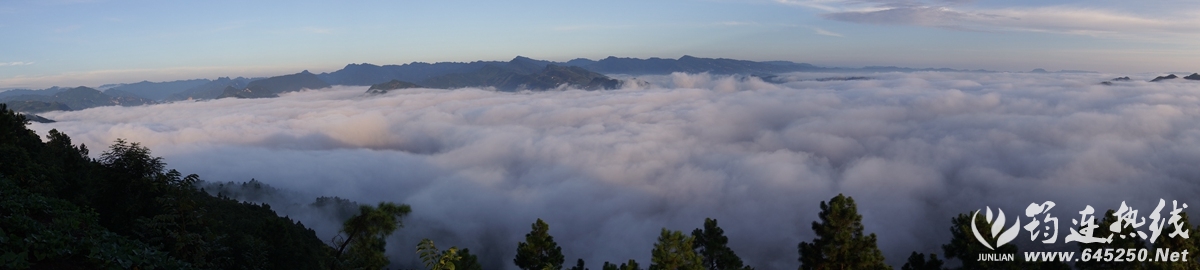 DSC05636_.jpg