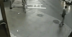 01.gif