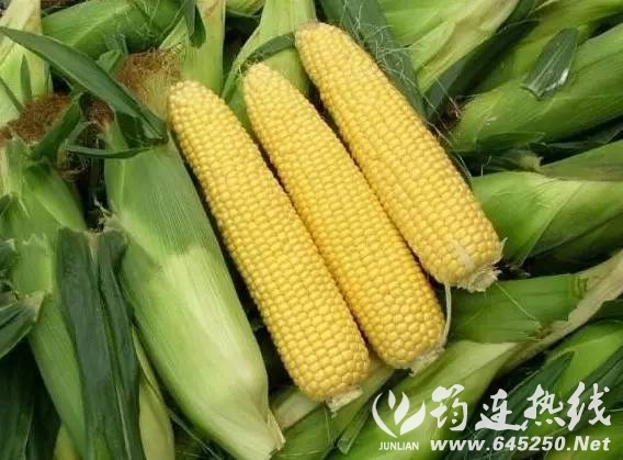 c0b36e6d8b0eb4ef81d42ae227cff7d8.jpg