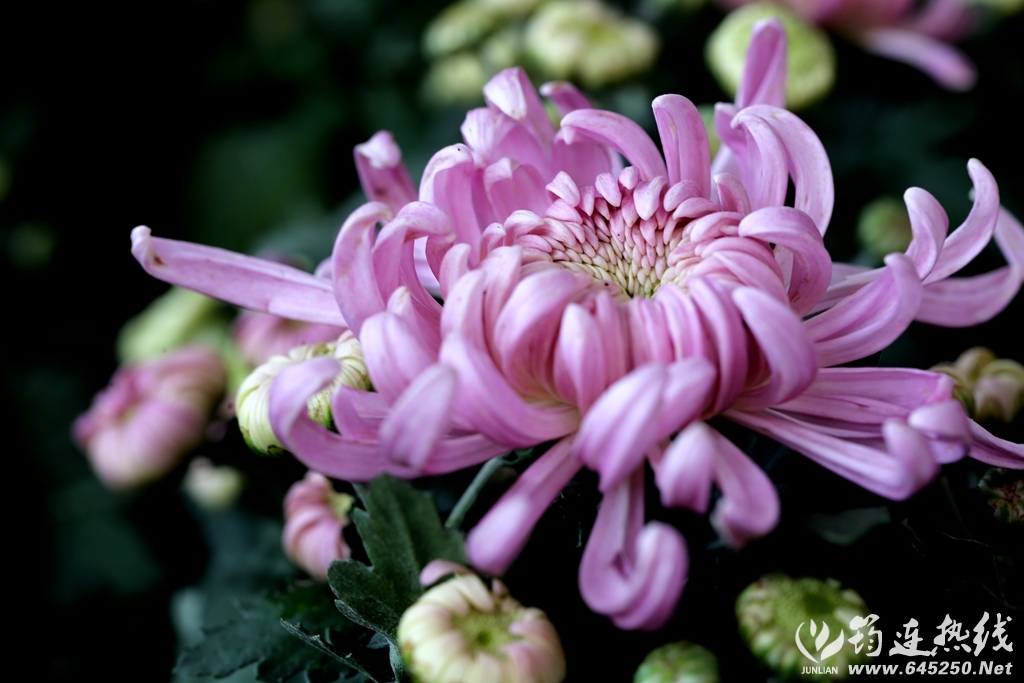 A06U8598_.jpg