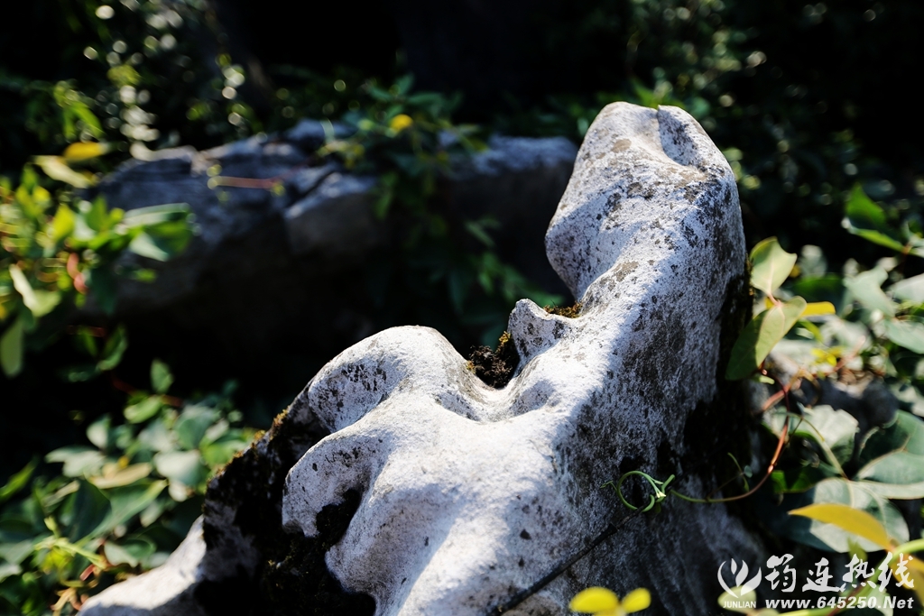 A06U5432_.jpg