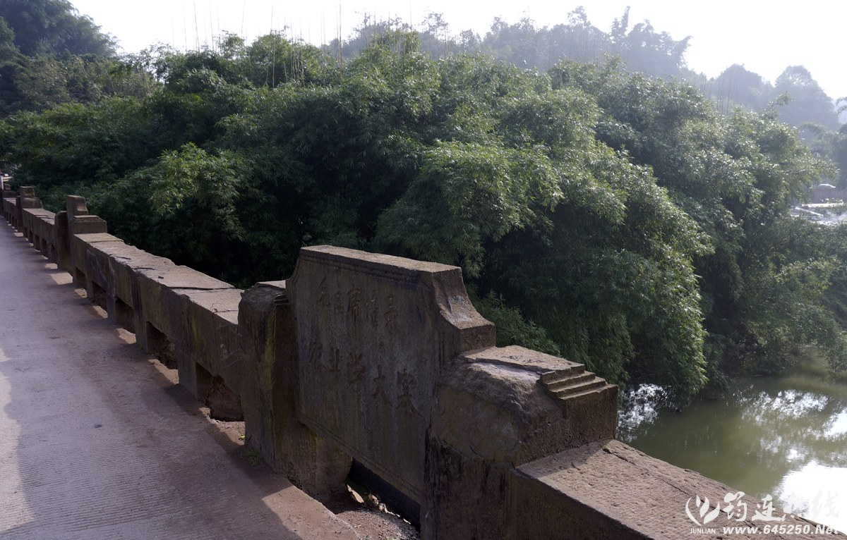 _DSC9166_.jpg