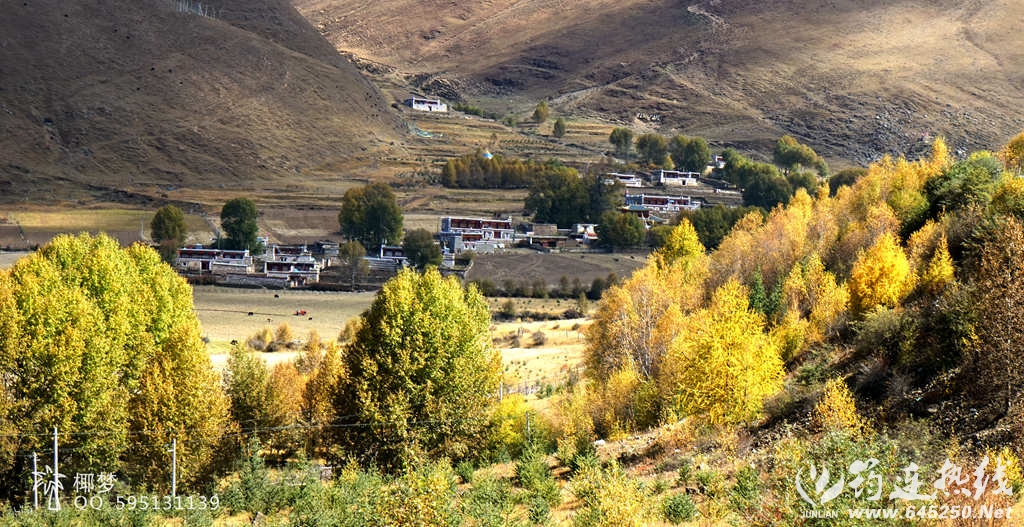 DSC05886_.jpg