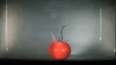 08513b8c3f5a02974aebca2bb2102e32.gif