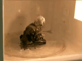 cf3295a409ccdc8c1c69f616fb0f4277.gif