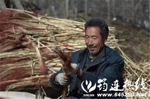 b49a2a19ecb8a92e07b334760d62dfe2.jpg