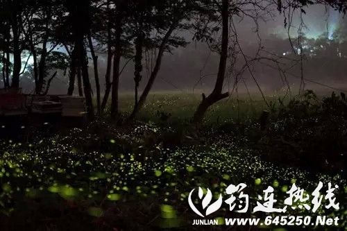 34db58f042db06822c7d4cc426b3615d.jpg