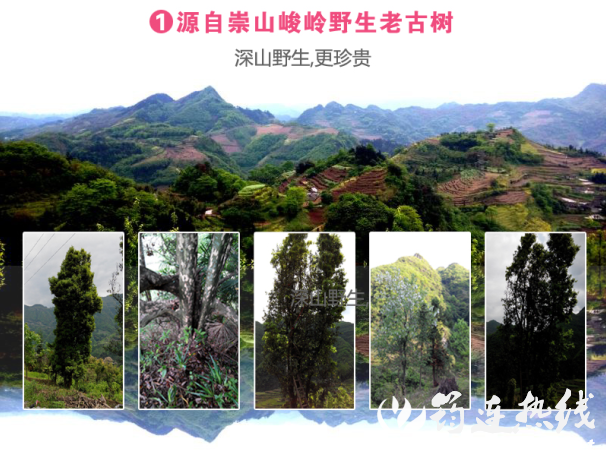 86ab1a23240697763c2efba912236c49.png