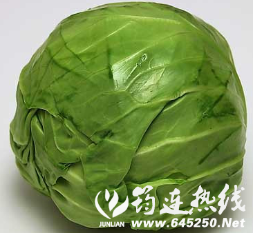 e424852c3a97ab32e339c9ece9d86a76.png