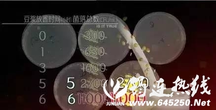 81df4c6026783558e89b9e4be7a717b3.jpg