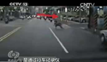 cc05f30caa8e426371858197e0c712c2.gif