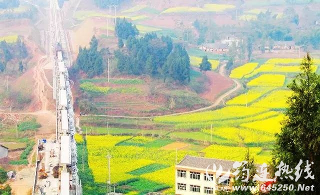 0726d0ff0909850db4269185f04acaf3.jpg