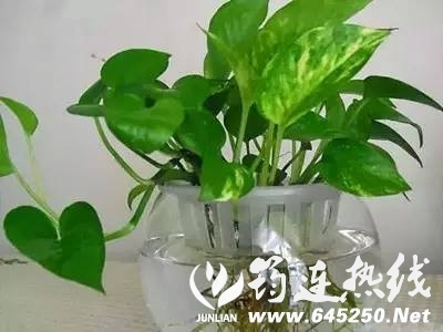 03f30bf78c1dcef8a9ed90feae28ef28.jpg