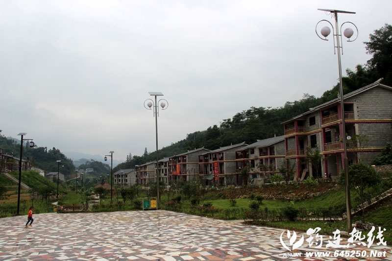 a2bd5ae54ee17eaf9112ebac1e4bcaf8.jpg