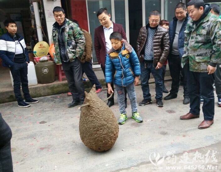 QQͼƬ20160208101725.jpg