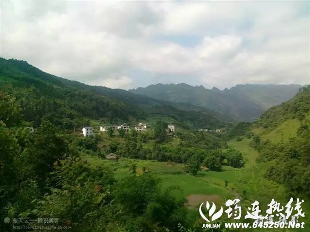aed40a4dd552b153d0dd03426b1320e0.jpg