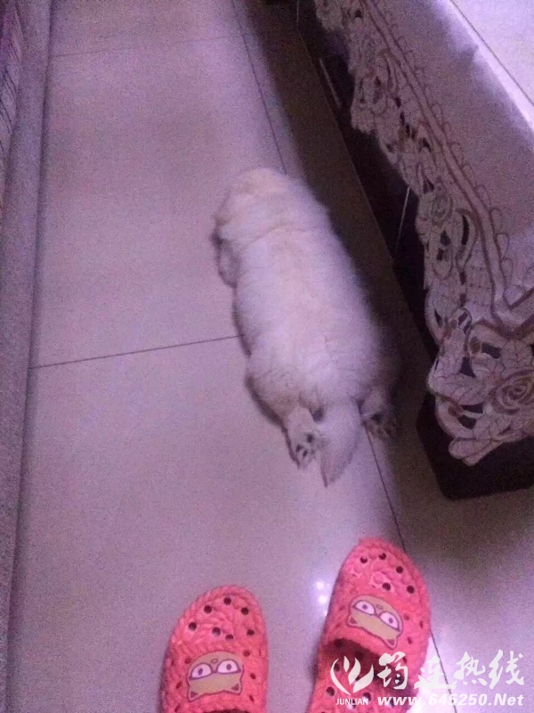 91703