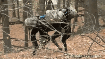 54120483904010023724bfe234ee236e.gif