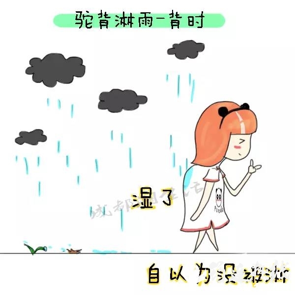bd98817f78b791a9552a1edcd14310df.jpg