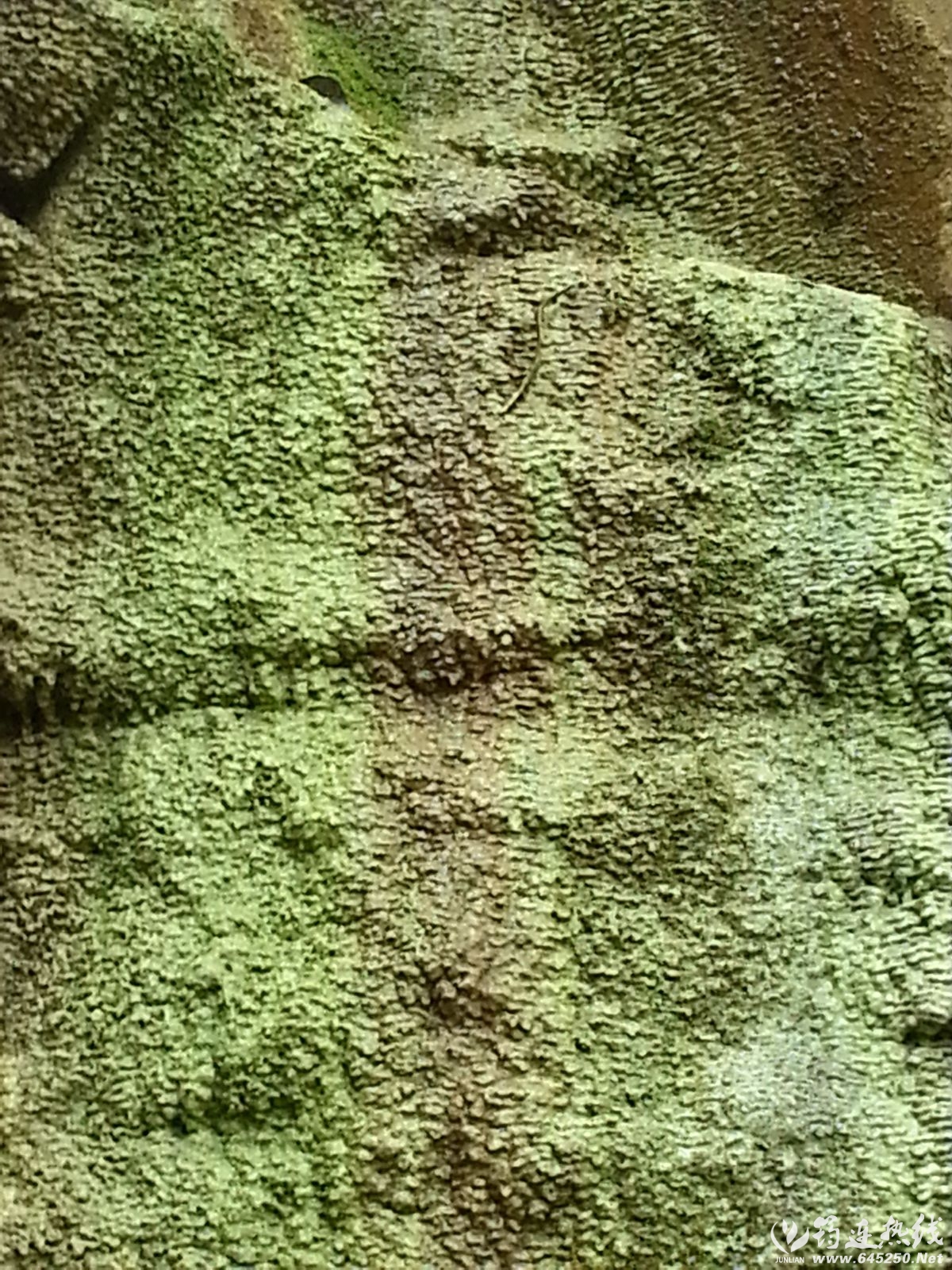20160211_122337__8888.jpg