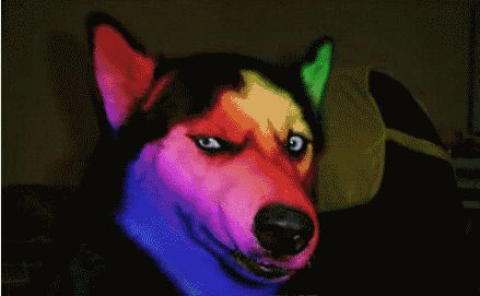 e371fcaaf25812e3b09b14a283d2424a.gif