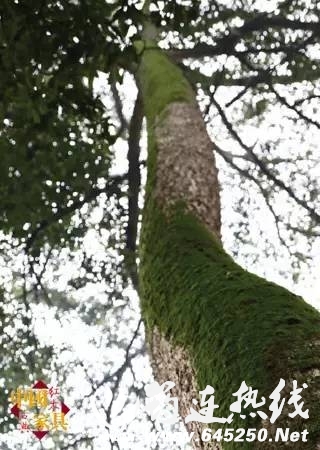 c9684fd53d9e6f84e1166b0b4f9e7e74.jpg