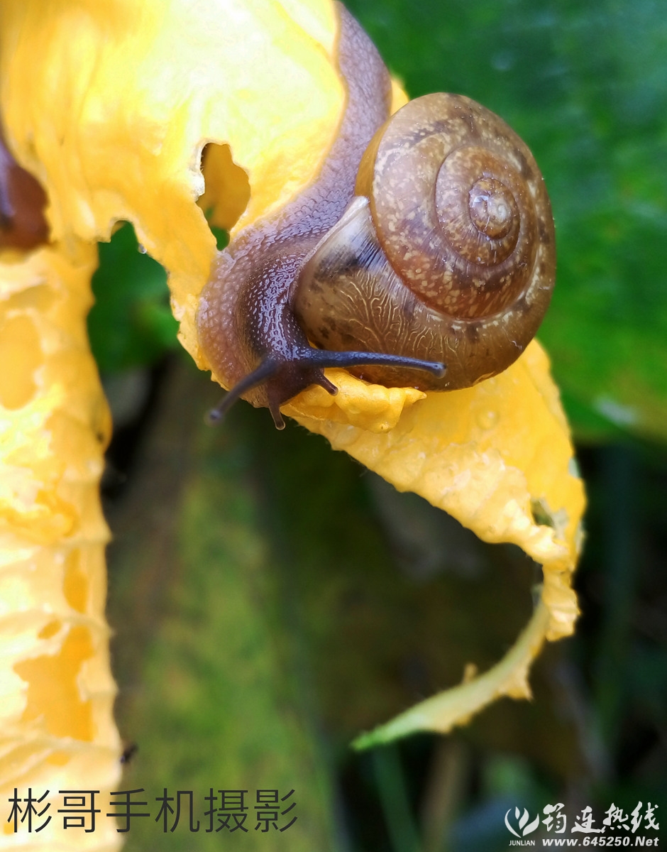 P60610-110410_.jpg