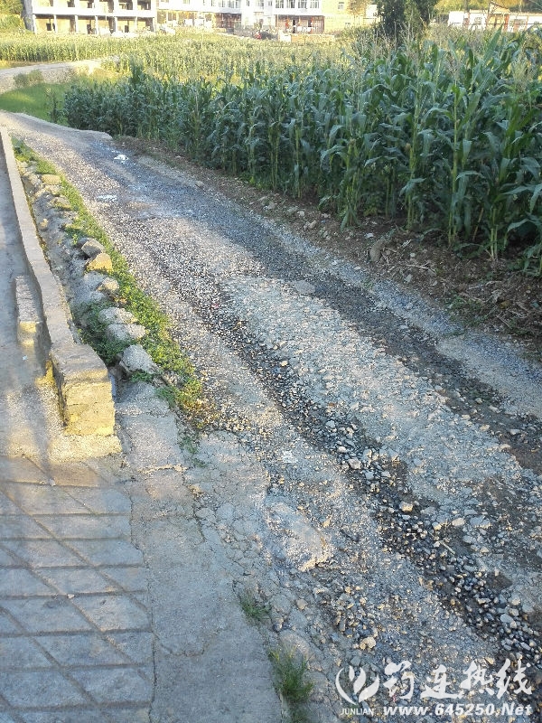 106807