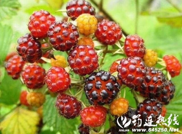 10cb93d0ab7c1664dd307075902ca3ec.jpg