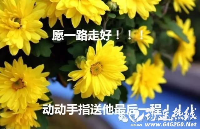 ab6f5aa74e06807b8fe215ce9b59a886.jpg