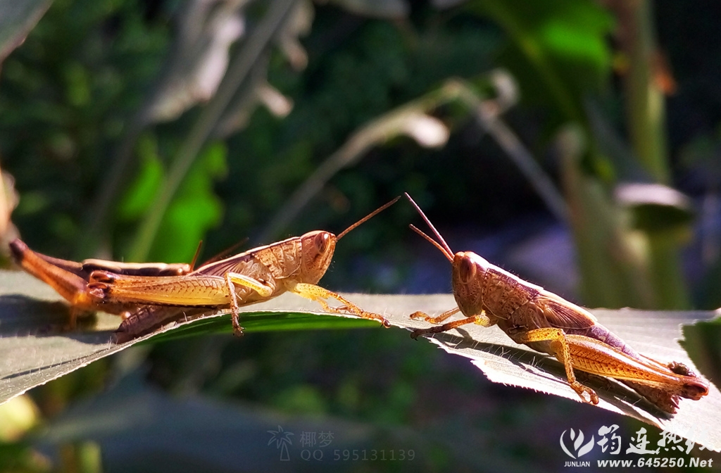 P60716-083359_.jpg