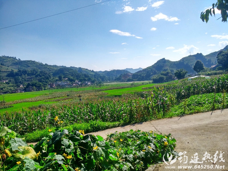 IMG_20160719_163542_HDR.jpg