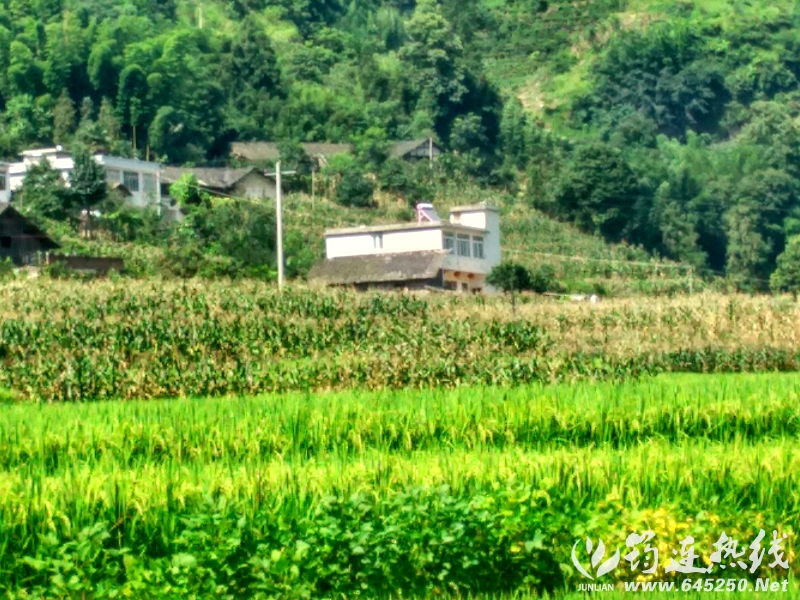 IMG_20160719_160349_HDR.jpg