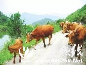 2d8df99a94b3c1122fc09fc817994a7a.jpg