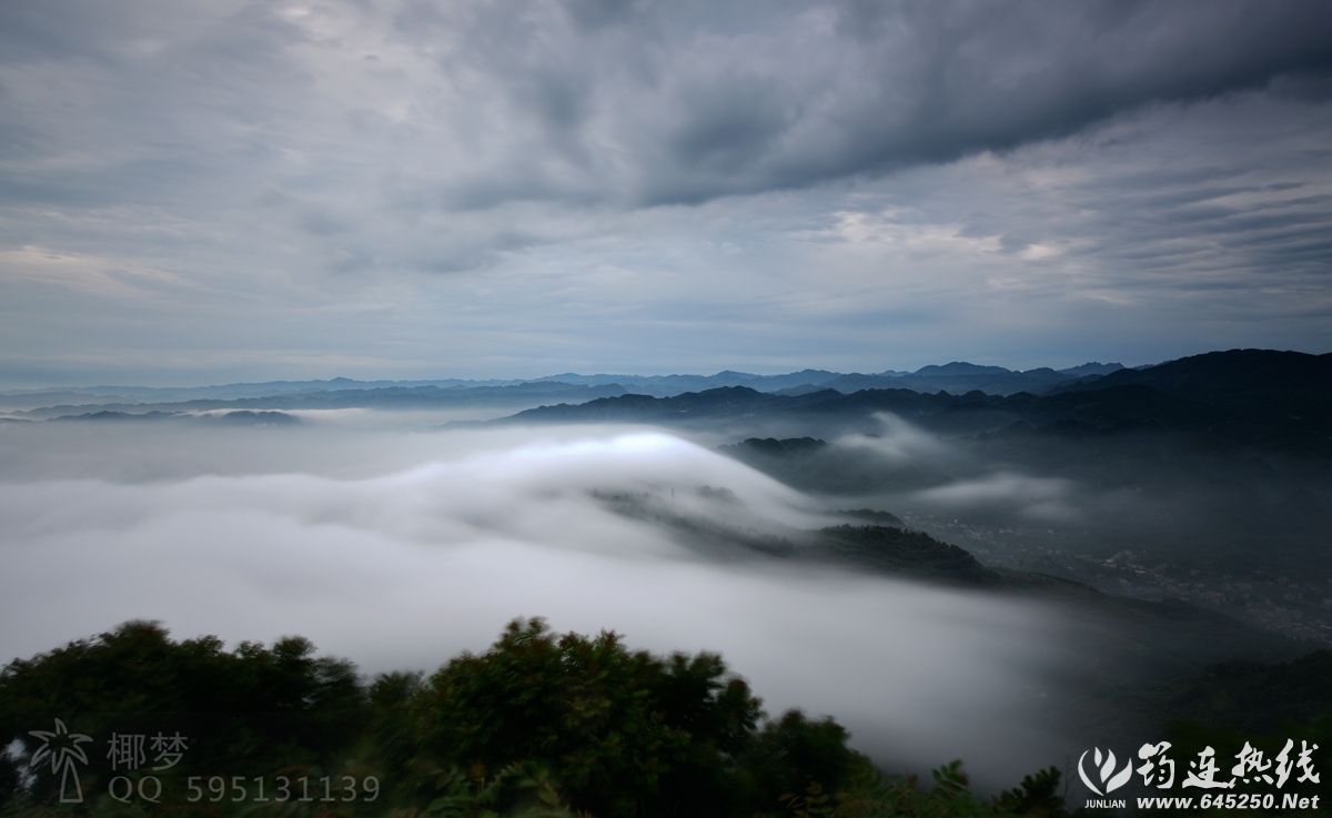 DSC_4048__.jpg