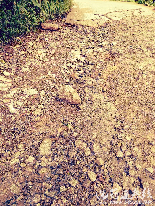 IMG20160805120518.jpg