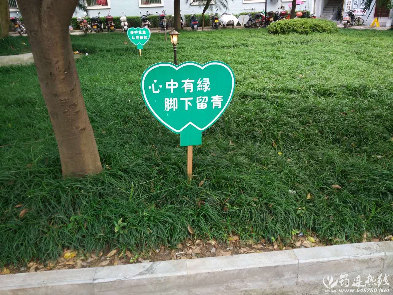710533772509360374.jpg