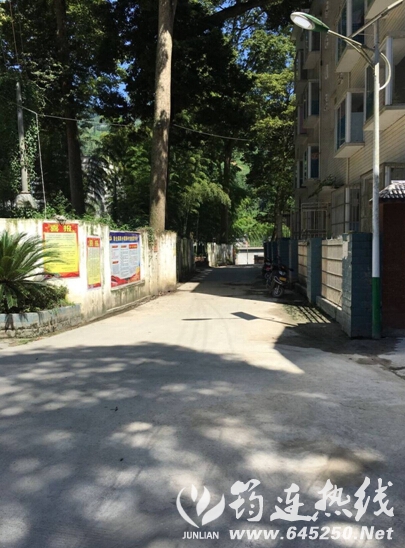 04.jpg