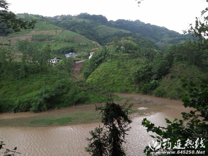 IMG20160808144408.jpg