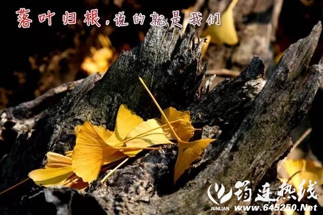 07cdf408f904b12a3d72dd863b9bb350.jpg