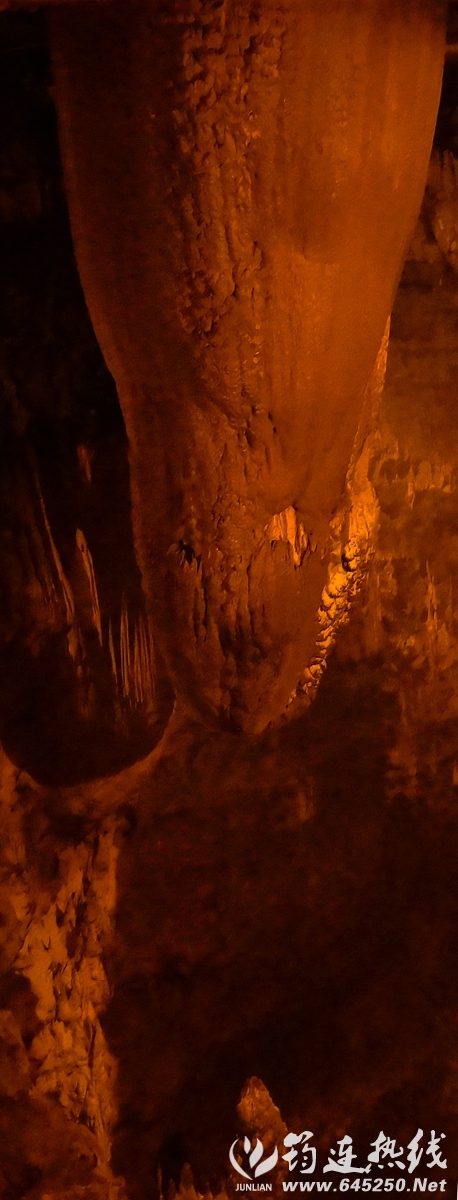 DSC09037_.jpg