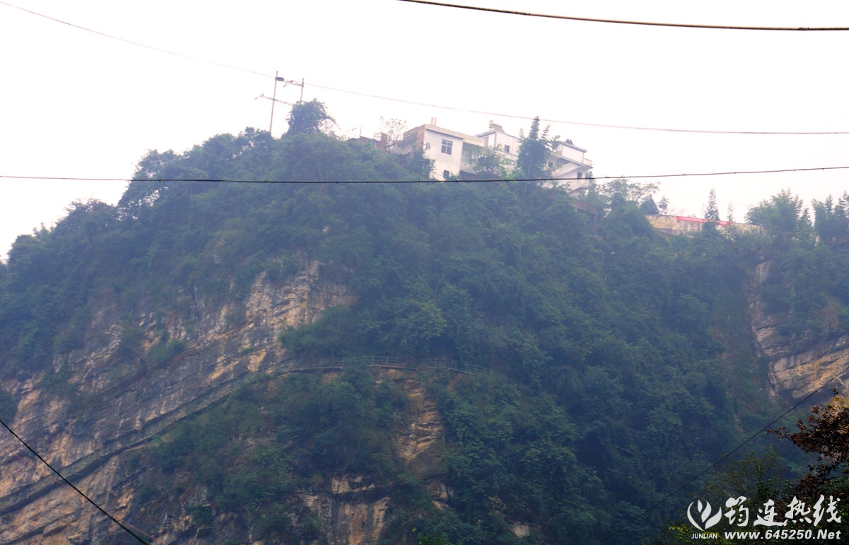 DSC01382_.jpg