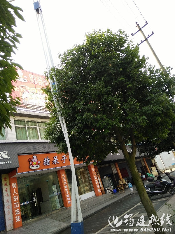 IMG20161206114542.jpg