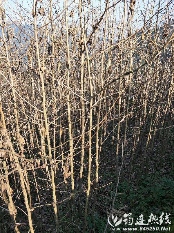 IMG20161208155909.jpg
