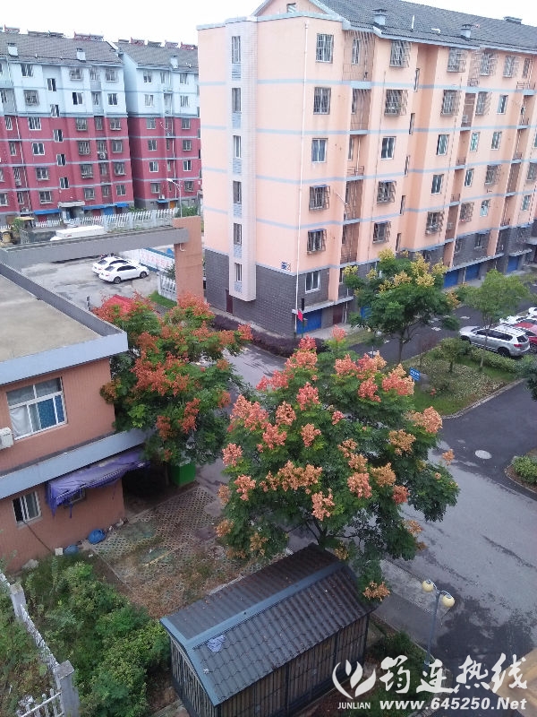 IMG20161007064730.jpg