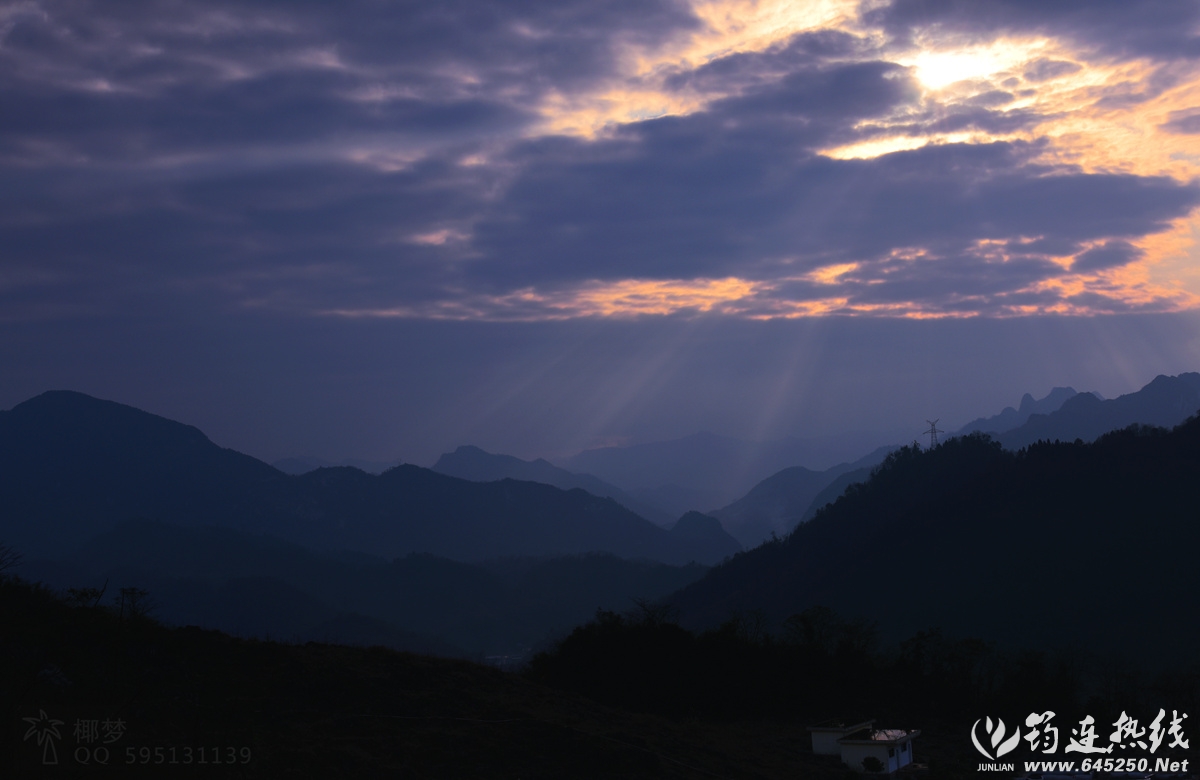 DSC_0480_a.jpg