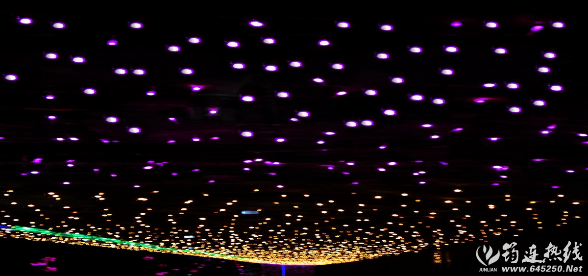 DSC08277__conew1_.jpg