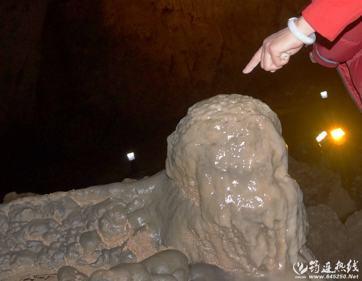 DSC09796_.jpg