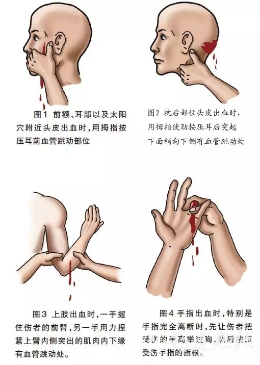 640.webp (15).jpg
